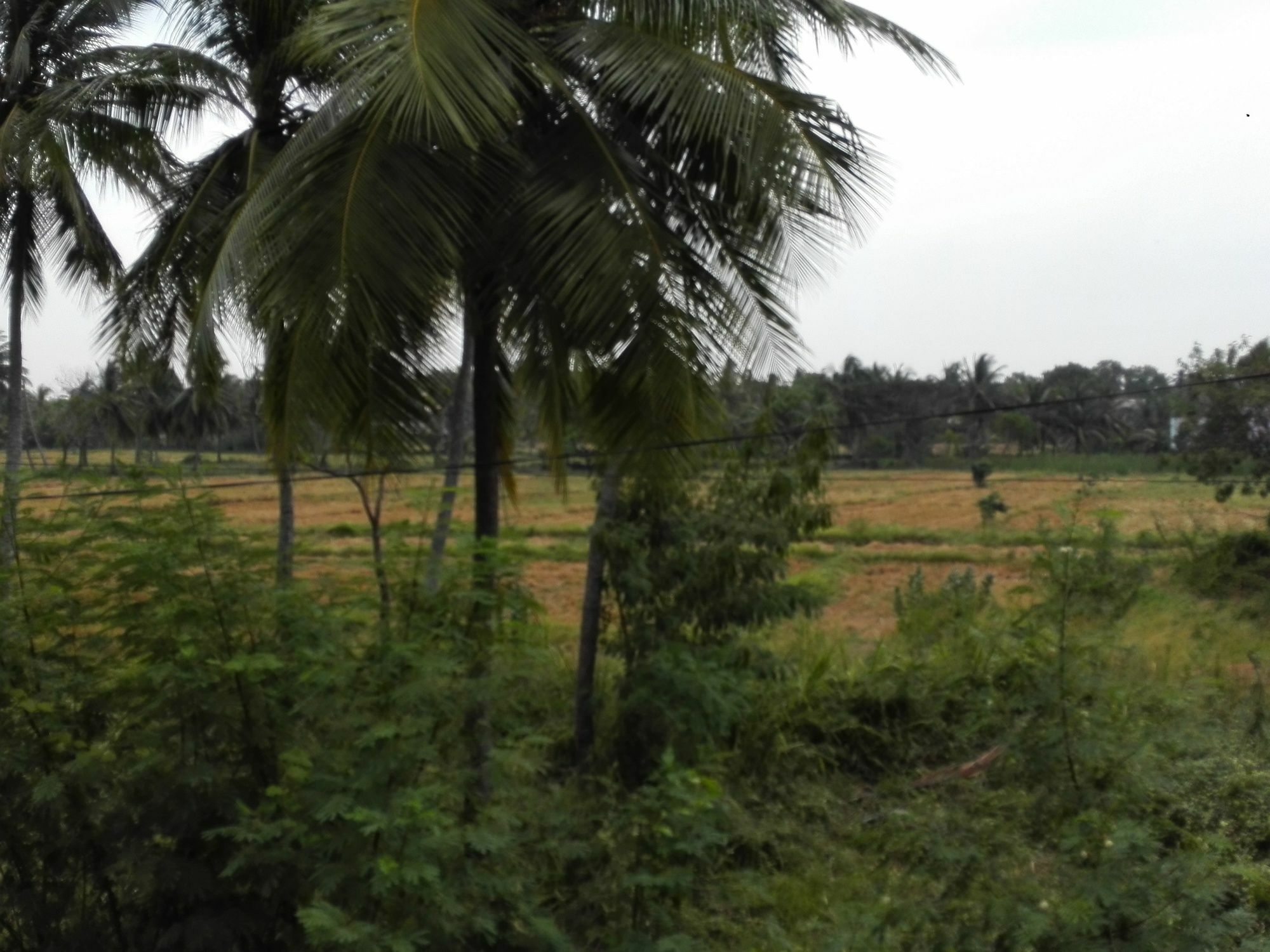 Salubrious Resort Anuradhapura Luaran gambar