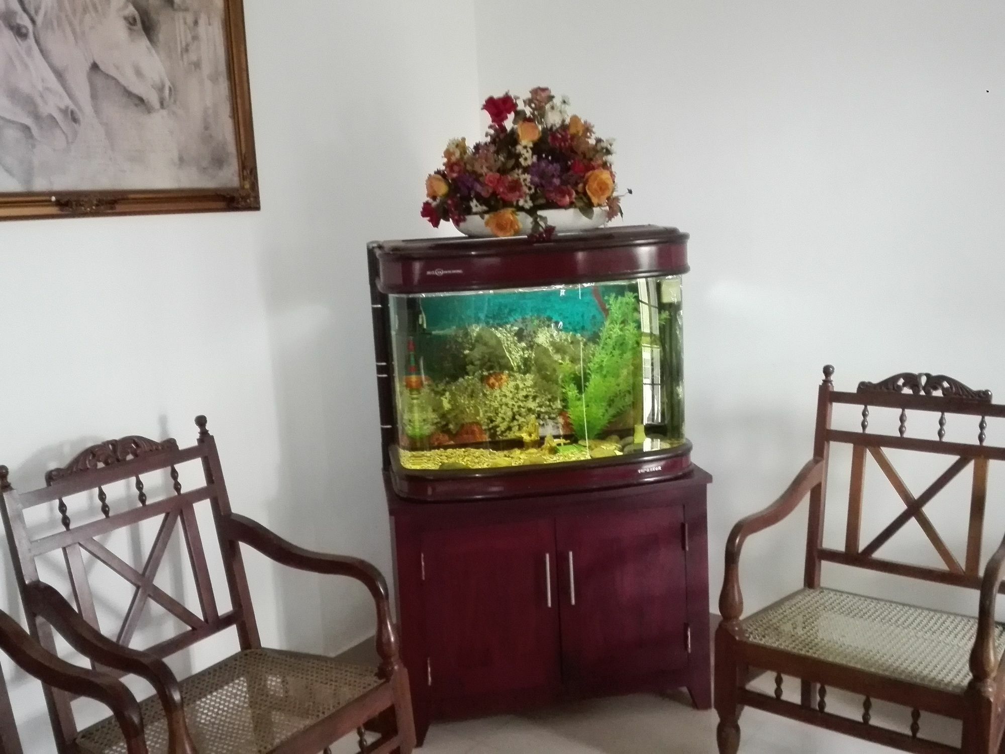 Salubrious Resort Anuradhapura Luaran gambar